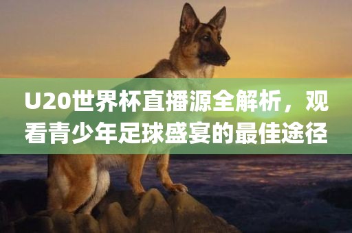 U20世眉山市正发家政服务有限公司界杯直播源全解析，观看青少年足球盛宴的最佳途径