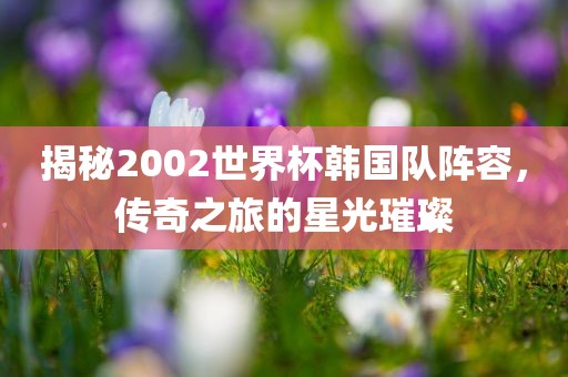 揭秘2002世界杯韩国队眉山市正发家政服务有限公司阵容，传奇之旅的星光璀璨