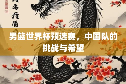 男篮世界杯预选赛，中国队的挑战与希望