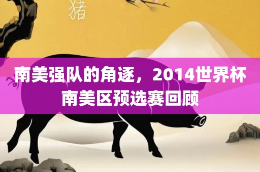 南美强队的角逐，2014世界杯南美区预选赛回顾