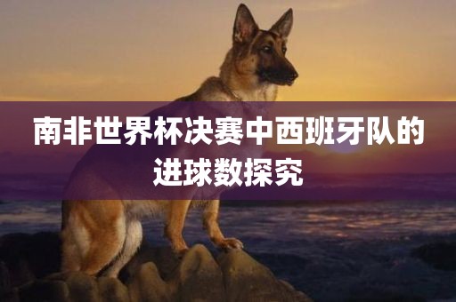 南非世界杯决赛中西班牙队的进球数探究