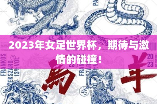 2023年女足世界杯，期待与激情的碰撞！