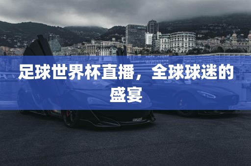足球世界杯直播，全球球迷的盛宴眉山市正发家政服务有限公司