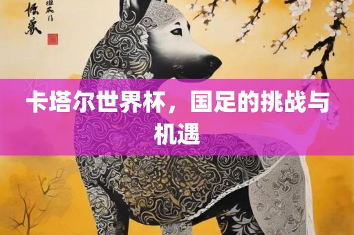 卡塔尔世界杯，国足的挑战与机遇