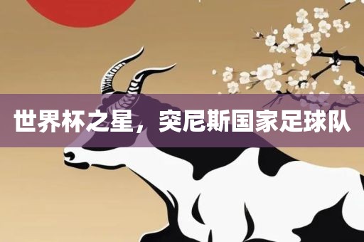 世界杯之星，突尼斯国家足球队