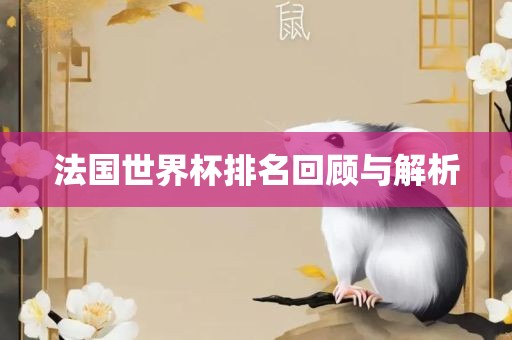 法国世界杯排名回顾与解析