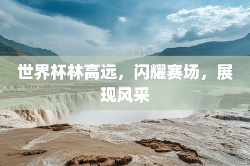 世界杯林高远，闪耀赛场，展现风采眉山市正发家政服务有限公司