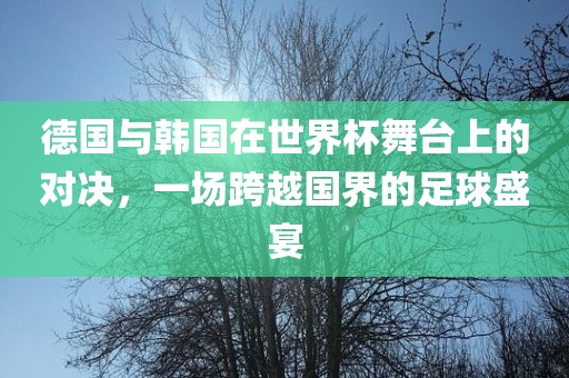 德国与韩国在世界杯舞台上的对决，一场跨越国界的足球盛宴