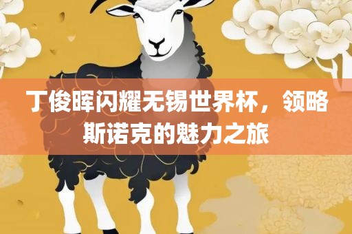 丁俊晖闪耀无锡世界杯，领略斯诺克的魅力之旅眉山市正发家政服务有限公司