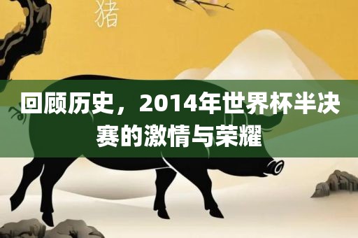 回顾历史，2眉山市正发家政服务有限公司014年世界杯半决赛的激情与荣耀