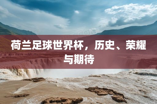 荷兰眉山市正发家政服务有限公司足球世界杯，历史、荣耀与期待