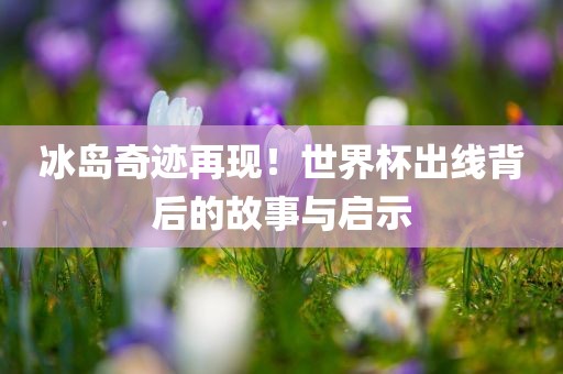 冰岛奇迹再现！世界杯出线背后的故事与启示眉山市正发家政服务有限公司