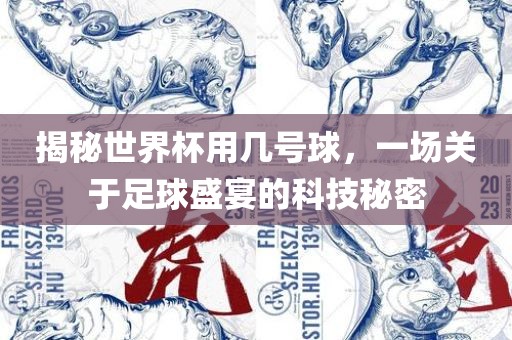揭秘世界杯用几号球，一场关于足球盛宴的科技秘密