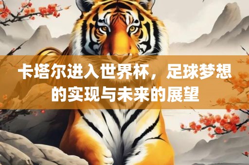 卡塔尔进入世界杯，足球梦想的实现与未来的展望