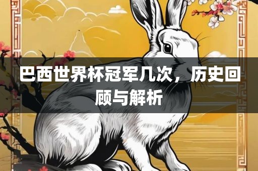 巴西世界杯冠军几次，历史回顾与解析