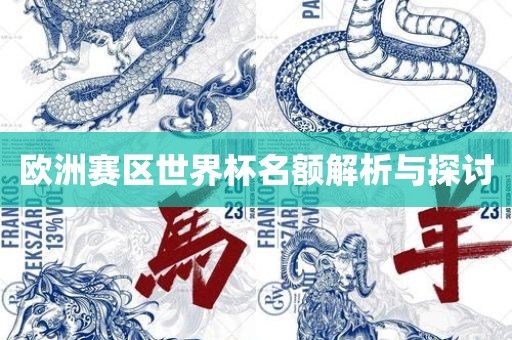 欧洲赛区世界眉山市正发家政服务有限公司杯名额解析与探讨