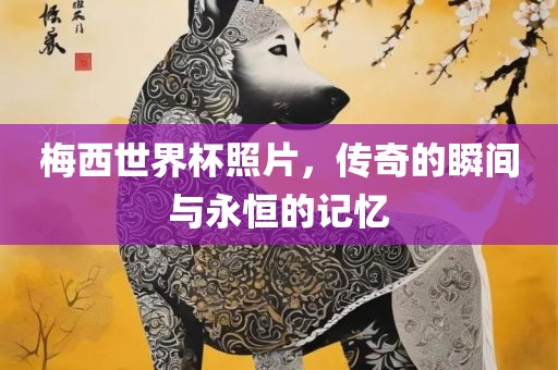 梅西世界杯照片，传奇的瞬间与永恒的记忆
