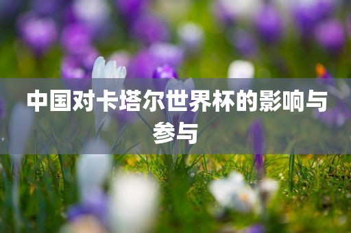 中国对卡塔尔世界杯的影响与参与