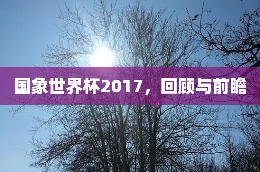 国象世界杯2017，回顾与前瞻