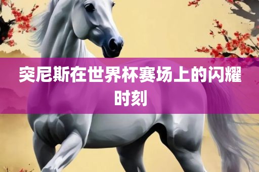 突尼斯在世界杯赛场上的闪耀时刻
