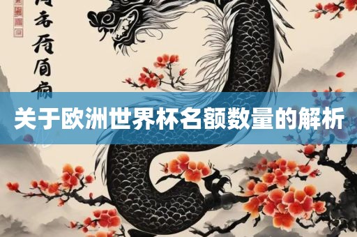 关于欧洲世界杯名额数量的解析