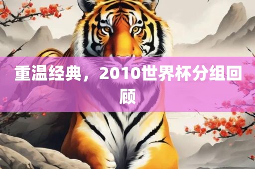 重温经典，2010世界杯分组回顾