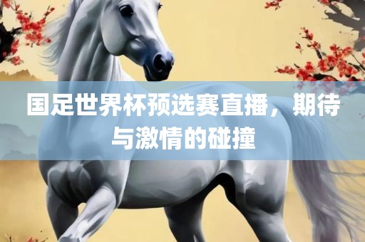 国足世界杯预选赛眉山市正发家政服务有限公司直播，期待与激情的碰撞