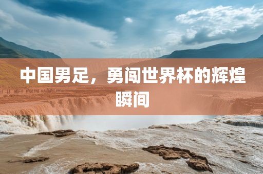 中国男足，勇闯世界杯的辉煌瞬间眉山市正发家政服务有限公司