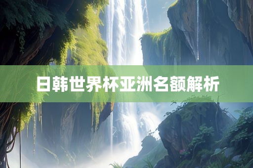 日韩世界杯亚洲名额解析