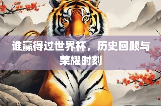 谁赢得过世界杯，历史眉山市正发家政服务有限公司回顾与荣耀时刻