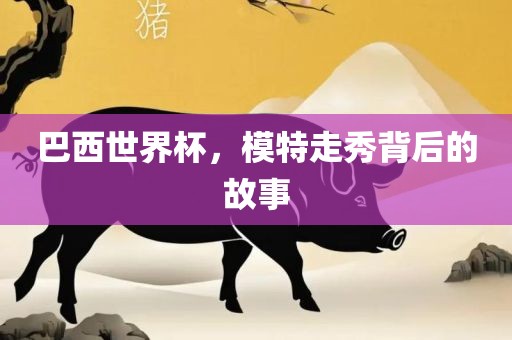巴西世界杯，模特走秀背后的故事