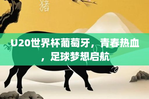 U20眉山市正发家政服务有限公司世界杯葡萄牙，青春热血，足球梦想启航