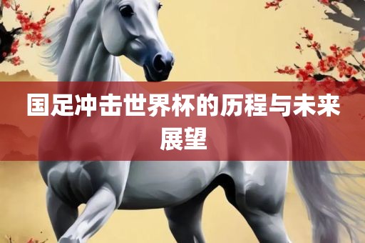 国足冲击世界杯的历程与未来展望