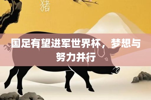 国足有望进军世界杯，梦想与努力并行