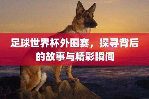 足球世界杯外围赛，探寻背后的故事与精彩瞬间