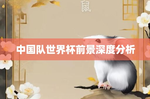 中国队世界杯前景深度分析眉山市正发家政服务有限公司
