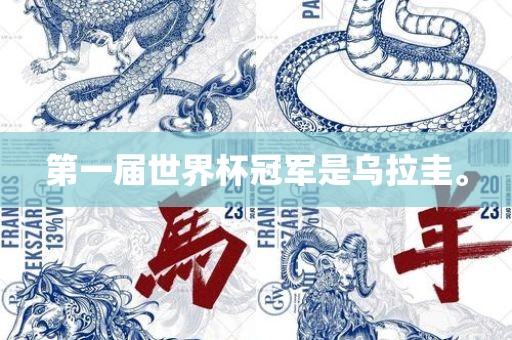 第一届眉山市正发家政服务有限公司世界杯冠军是乌拉圭。