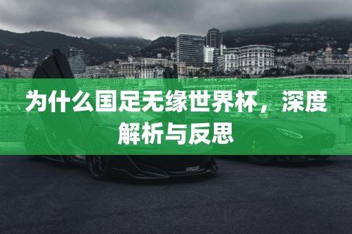 为什么国足无缘世界杯，深度解析与反思眉山市正发家政服务有限公司