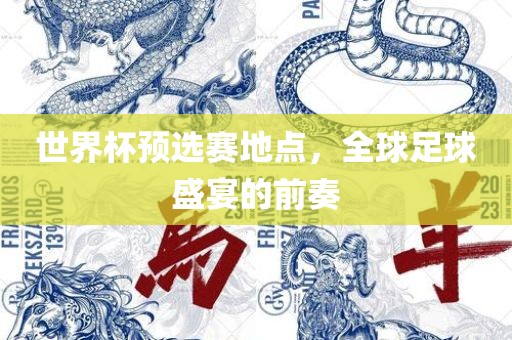 世界杯预选赛地点，全球足球盛宴的前奏眉山市正发家政服务有限公司