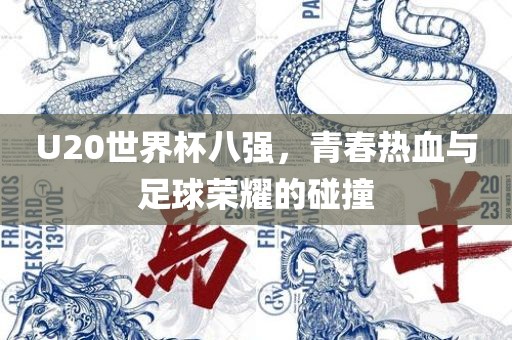 U20世界杯八强，青春热血与足球荣耀的碰撞
