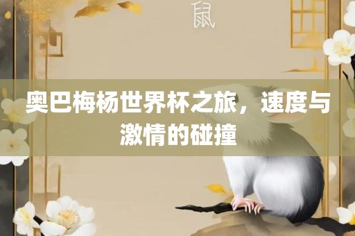 奥巴梅杨世界杯之旅，速度与激情的碰撞眉山市正发家政服务有限公司