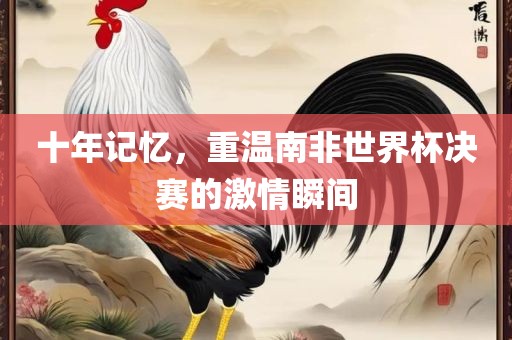 十年记忆，重温南非世界杯决赛的激情瞬间