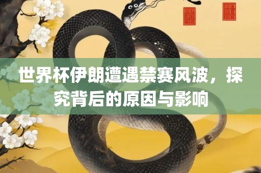 世界杯伊朗遭遇禁赛风波，探究背后的原因与影响
