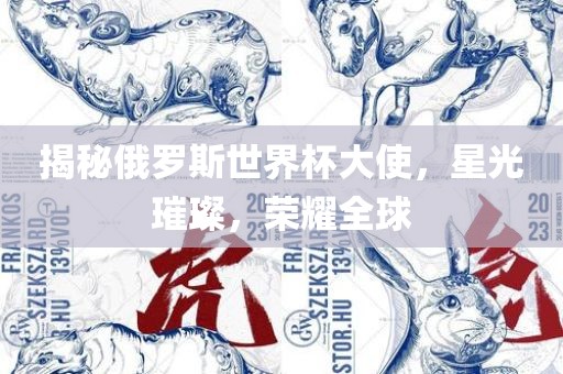 揭秘俄罗斯世界杯大使，星光璀璨，荣耀全球眉山市正发家政服务有限公司