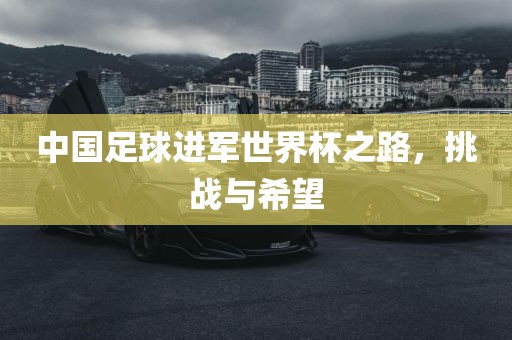 中国足球进军世界杯之路，挑战与希望