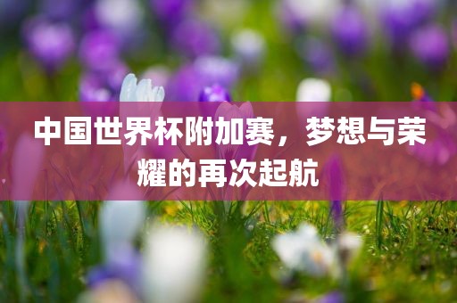 中国世界杯附加赛，梦想与荣耀的再次起航眉山市正发家政服务有限公司