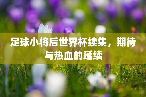 足球小将后世界杯续集，期待与热血的延续眉山市正发家政服务有限公司