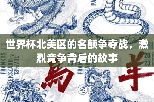 世界杯北美区的名额争夺战，激烈竞争背后的故事眉山市正发家政服务有限公司