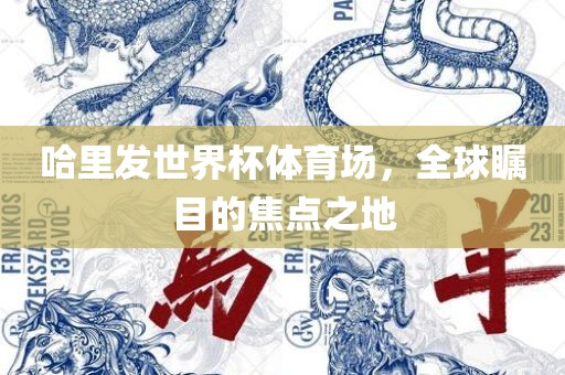 哈里发世界杯体育场，全球瞩目的焦点之地眉山市正发家政服务有限公司