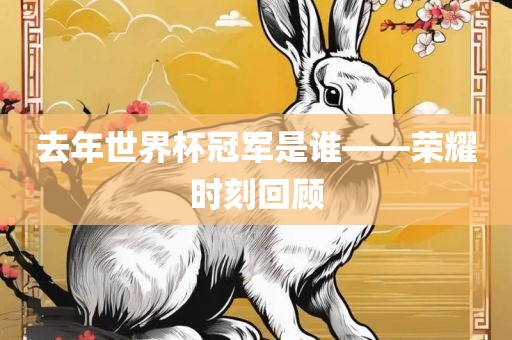 去年世界杯冠军是谁——荣耀时刻回顾